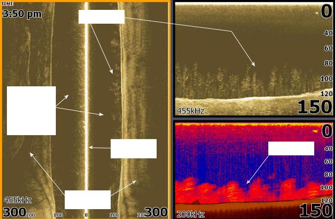 Lowrance StructureScan Operation Manual