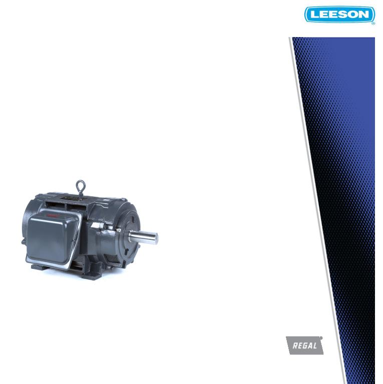 Leeson LM29853 Product Information Packet