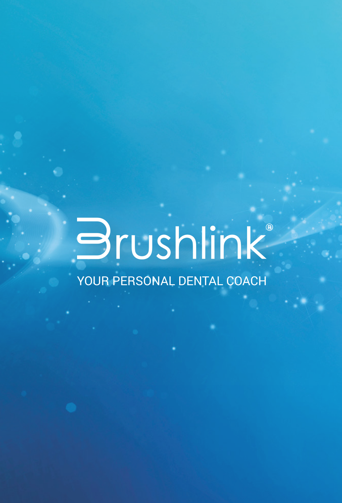 DNC Technologies Brushlink User Manual - ManualMachine.com