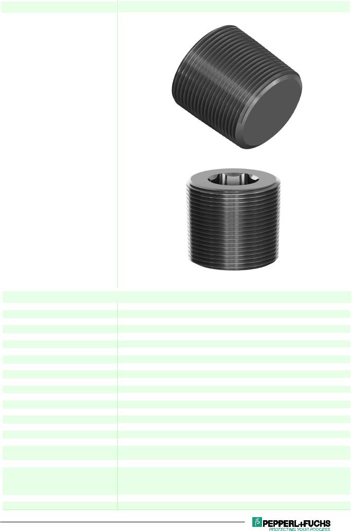 Pepperl Fuchs SP.MA.NPT1-1/2.SS.X.25.K01 Data Sheet