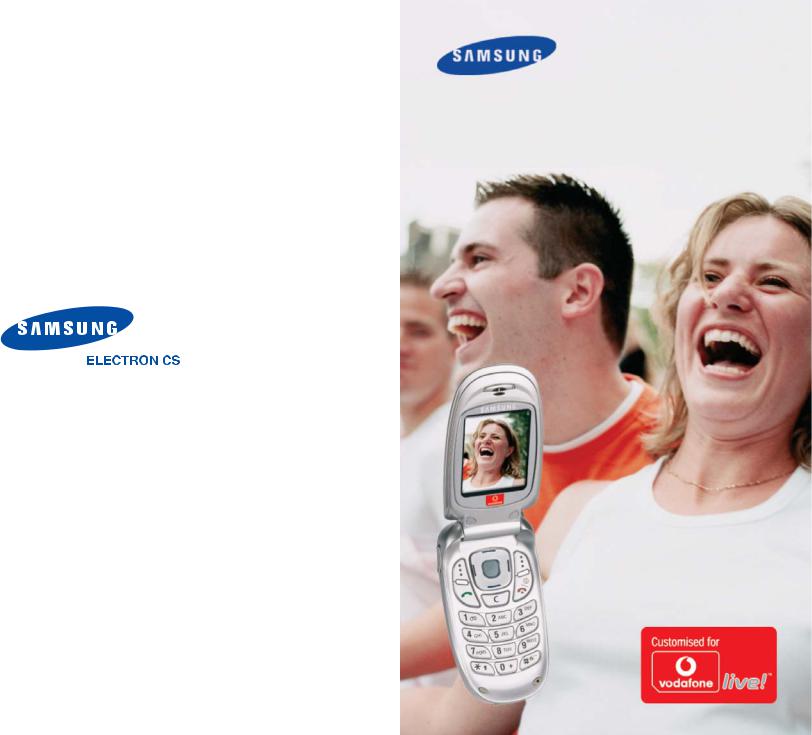 Samsung SGH-E310 User Manual