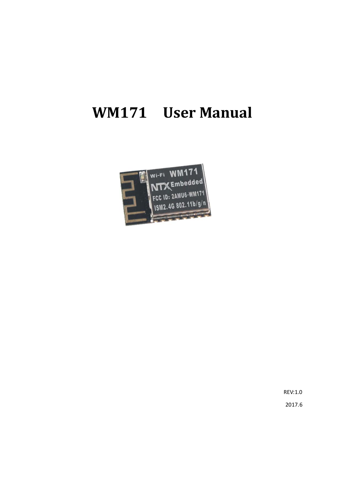 NTX Embedded WM171 Users manual