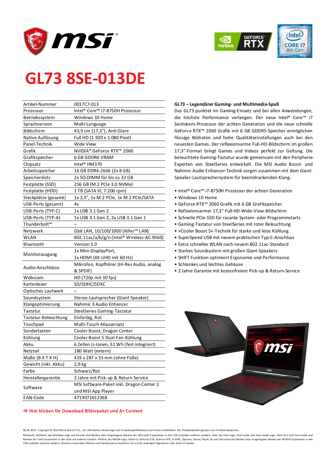 MSI GL73 8SE-013DE Technical data