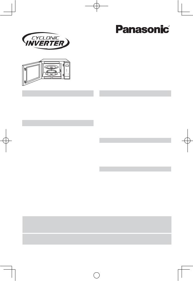 Panasonic APBP21 User Manual