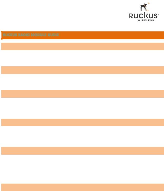 Ruckus Wireless MPE5N33A Users Manual