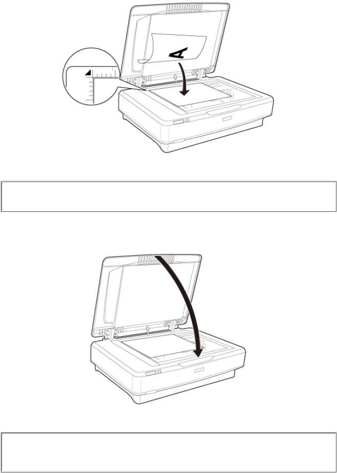 Epson Expression 11000XL User Guide