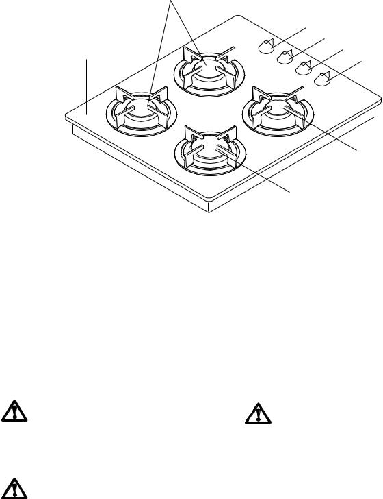 Zanussi ZGG649ICA, ZGG649ICY User Manual