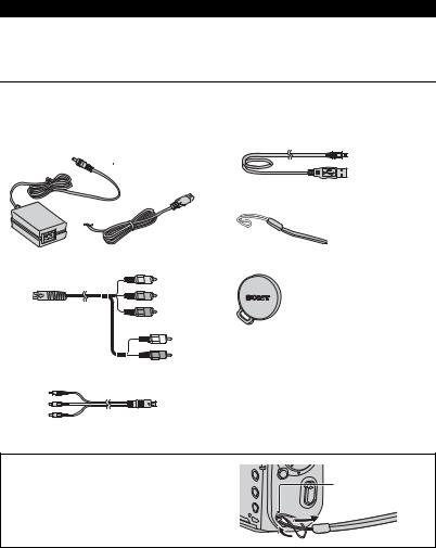 Sony MHS-CM3, MHS-CM1 User Manual