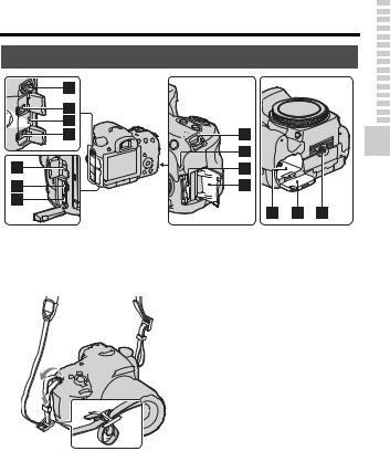 Sony SLT-A65VV, SLT-A65V User Manual