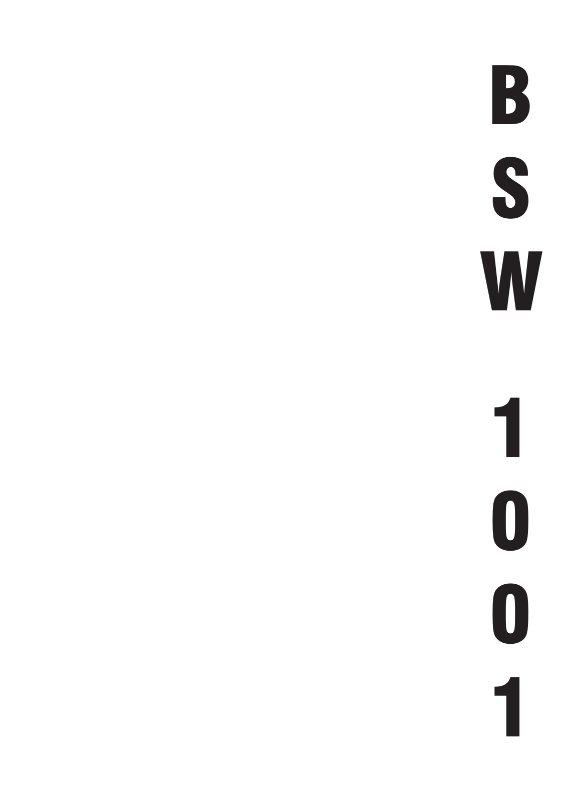 BRITÂNIA BSW-1001 Schematic