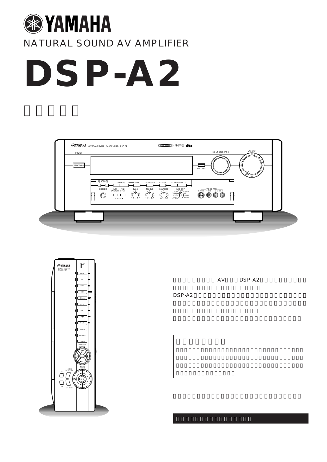 Yamaha DSP-A2 User Manual