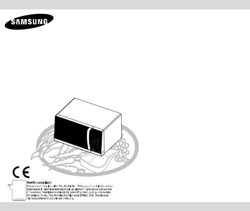 Samsung GW76N-SX User Manual