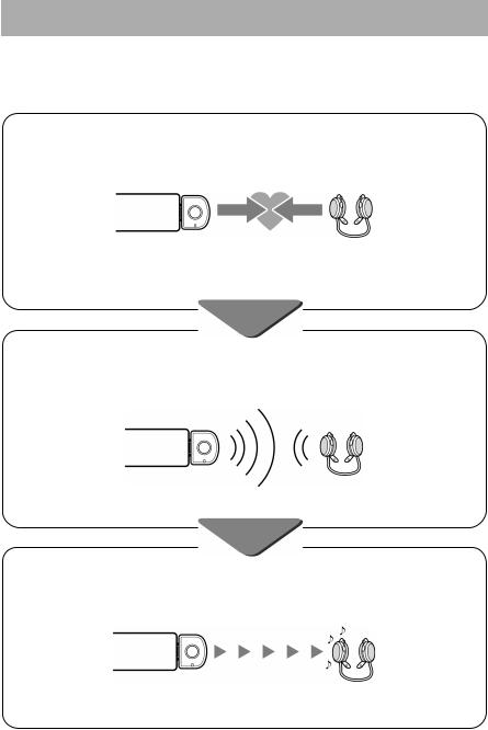 Sony WLA-NWB1 User Manual