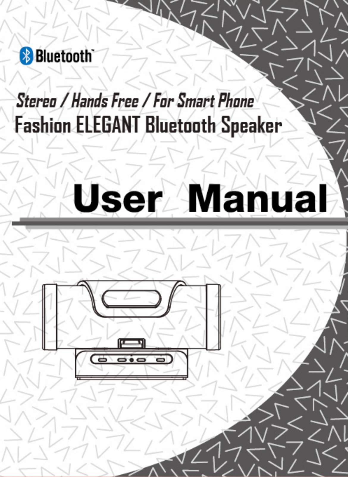 ACCESSPRO ELECTRONICS SP310 User Manual