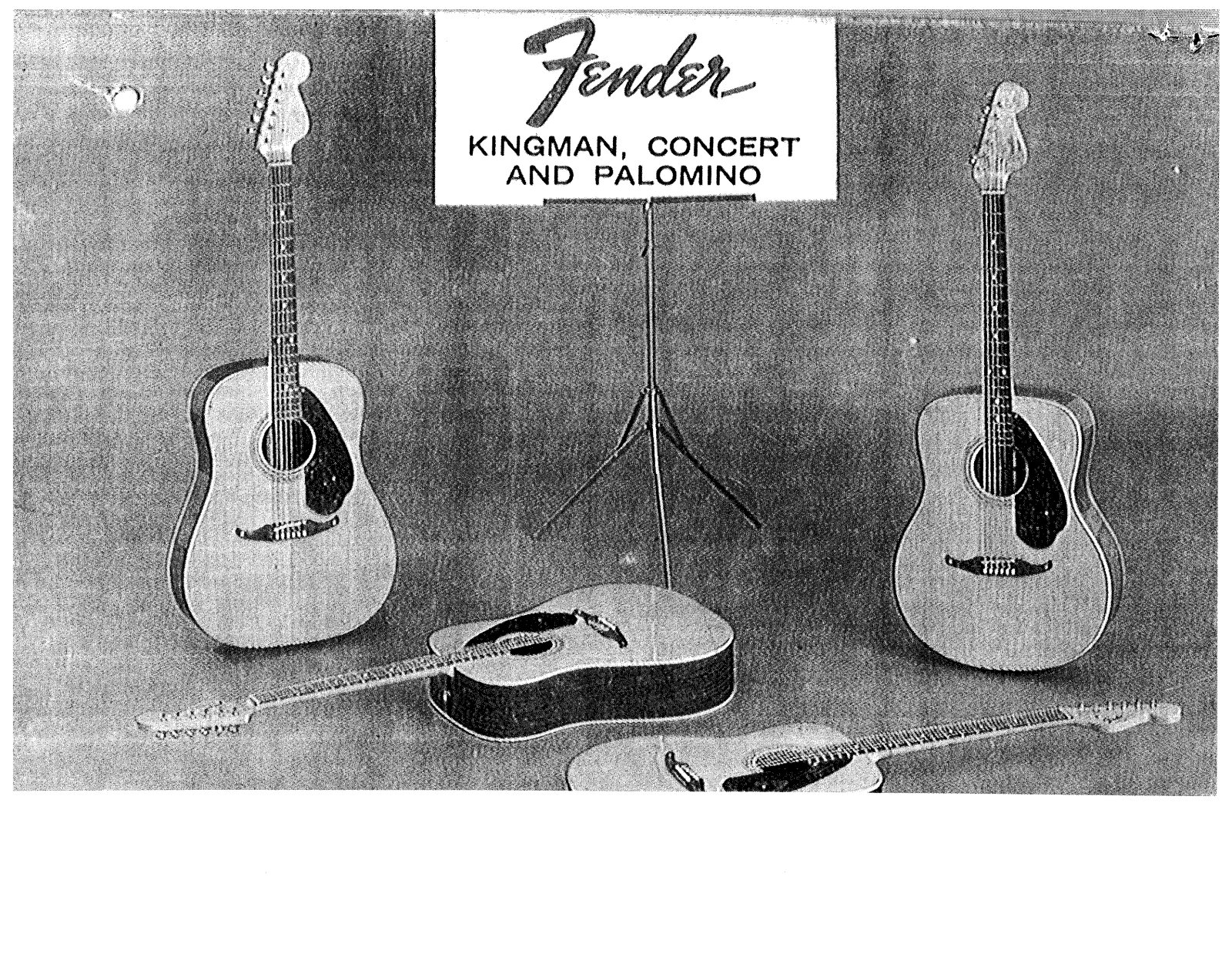 Fender Palomino Operation Manual