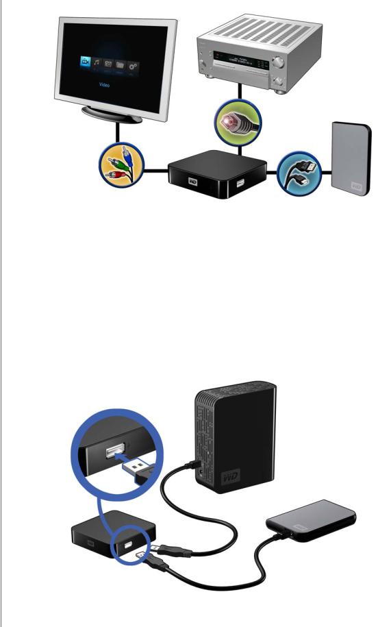 Western Digital WD TV Mini Media Player User Manual
