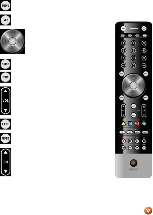 Vizio VP504 FHDTV10A User Manual