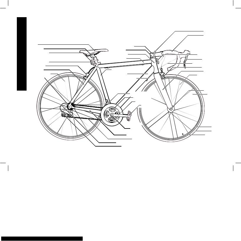Avigo BICYCLE User Manual