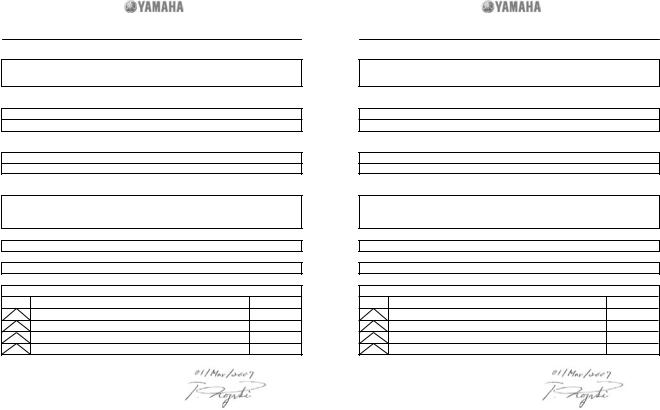 Yamaha FZ1-N, FZ1-NA User Manual