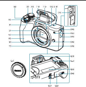 Canon EOS M50 Mark II User Manual