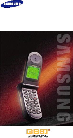 Samsung SGH-800SB, SGH-800SA, SGH-800LA, SGH-800GB, SGH-800GA User Manual