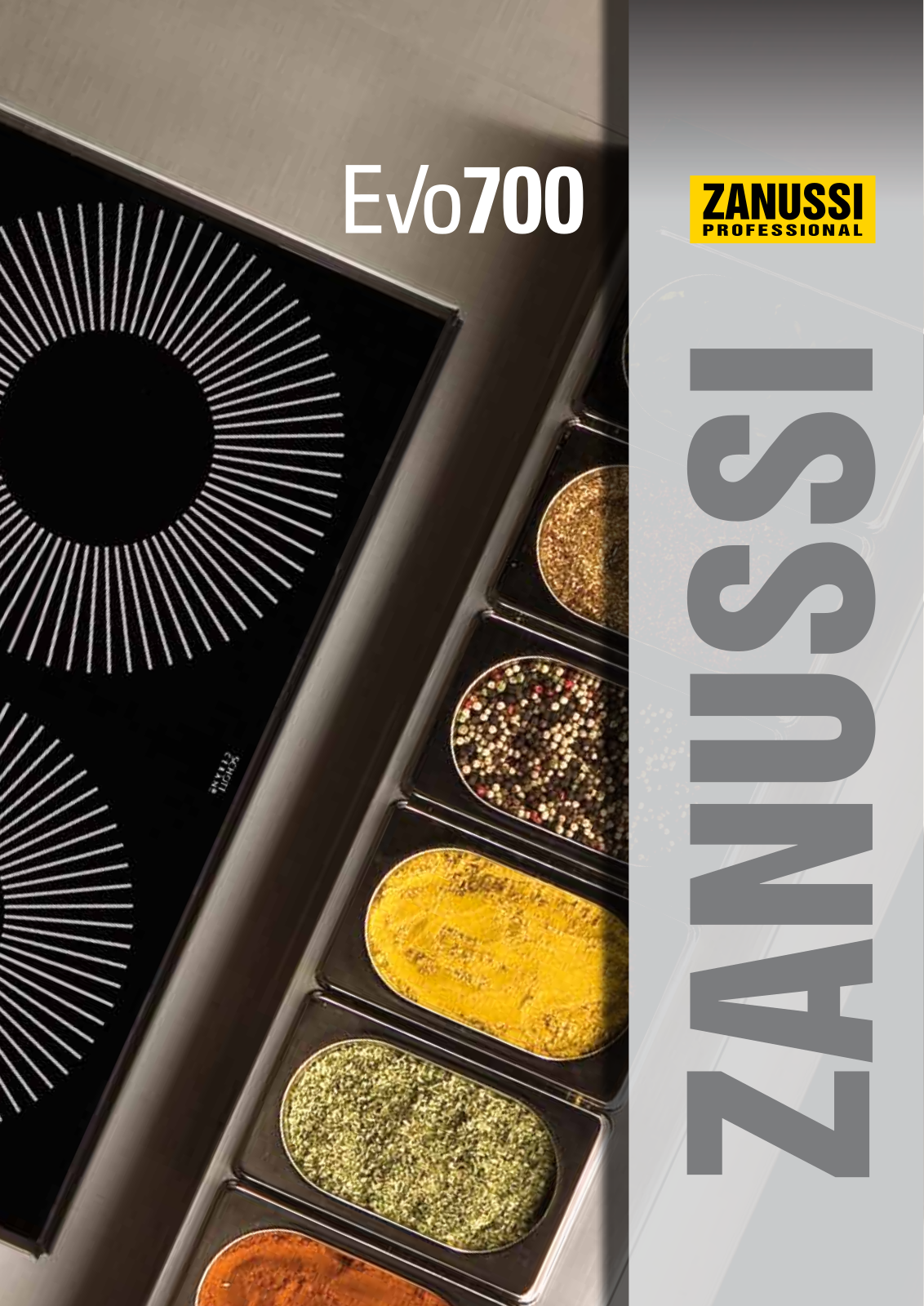 Zanussi EVO700 User Manual 2