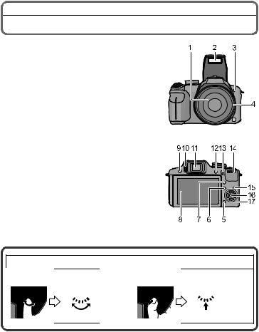 Panasonic DMC-FZ40 User Manual