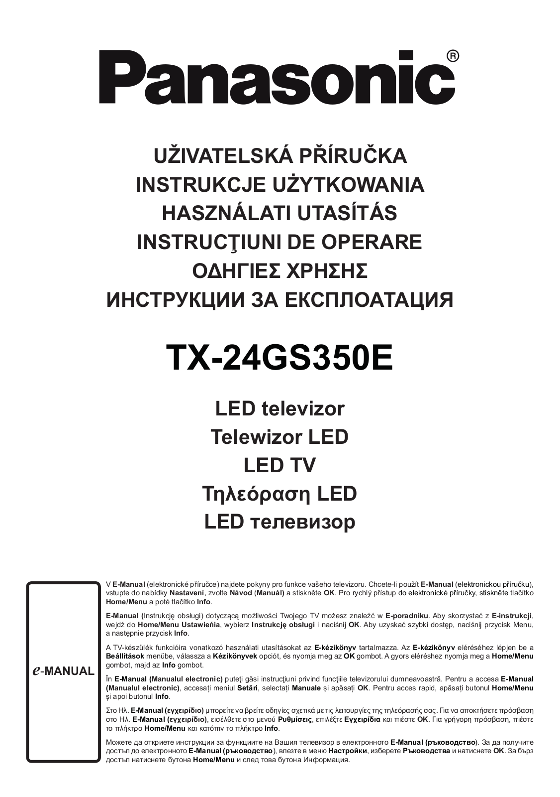 Panasonic TX-24GS350E User Manual