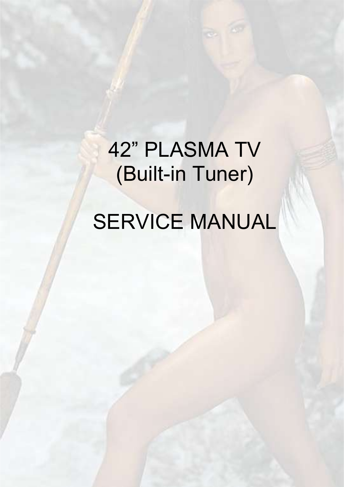 Hyundai HPT4205 Schematic