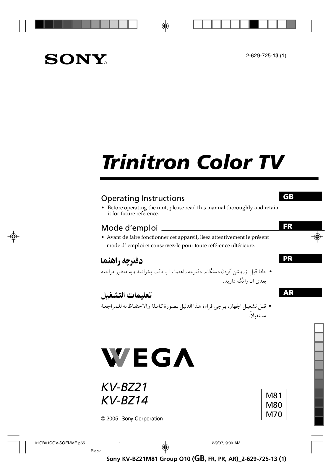 Sony Wega KV-BZ21, Wega KV-BZ14 Operating Instructions Manual