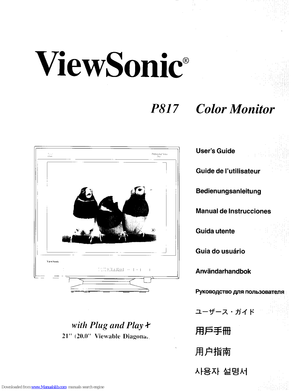 ViewSonic P817 User Manual