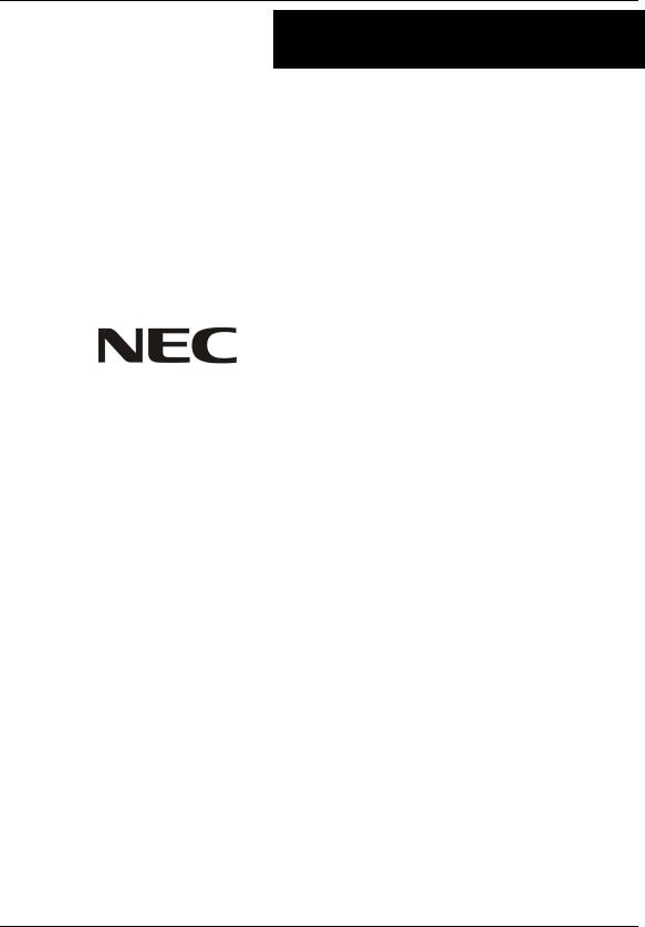 NEC Standard 300 User Manual