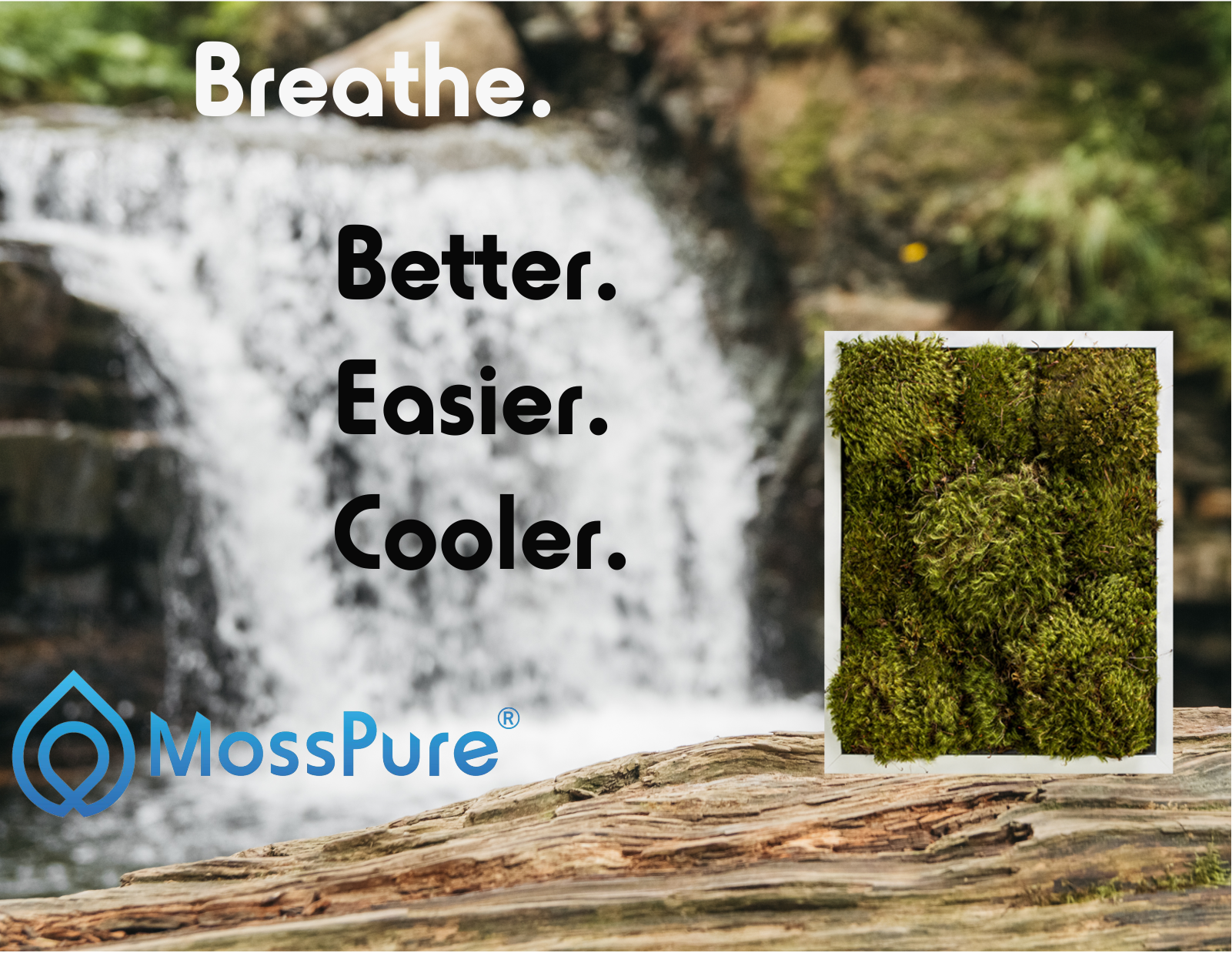 Moss Pure CSSP1000 w - ManualMachine.com