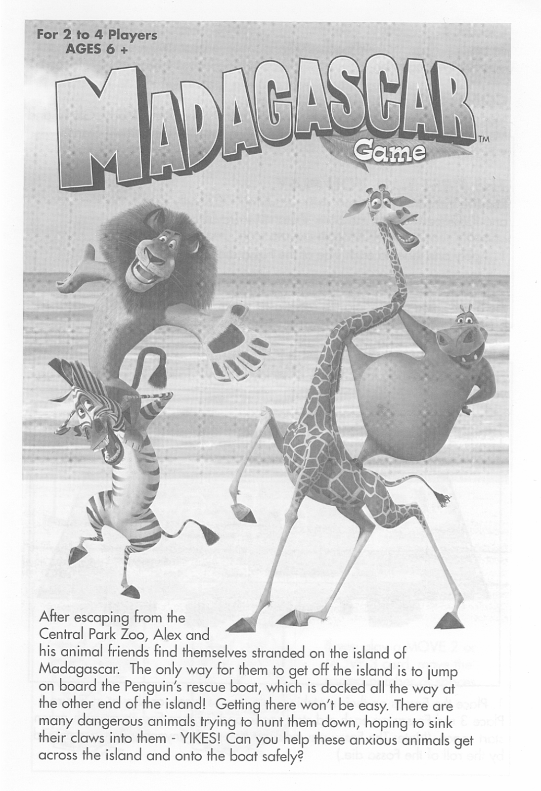 Hasbro MADAGASCAR User Manual