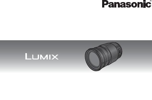 Panasonic HFS100300 User Manual