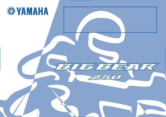 Yamaha YFM25BZ, YFM250Z User Manual