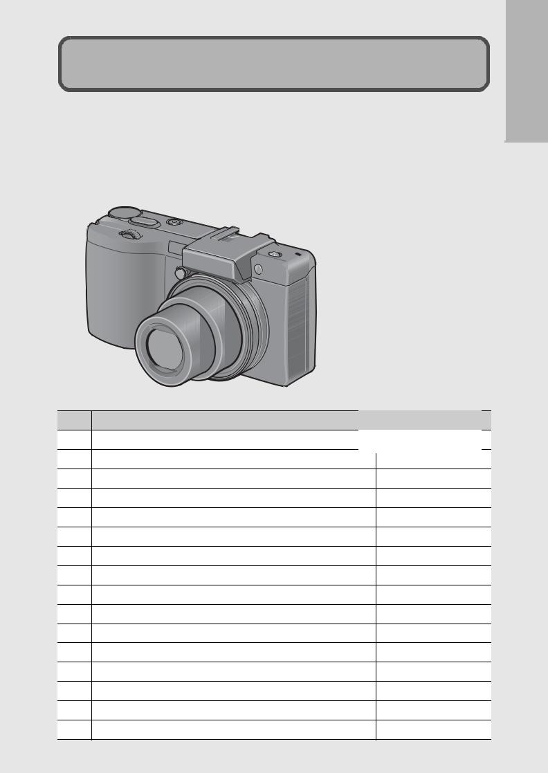 RICOH GX100, GX100 VF KIT User Manual