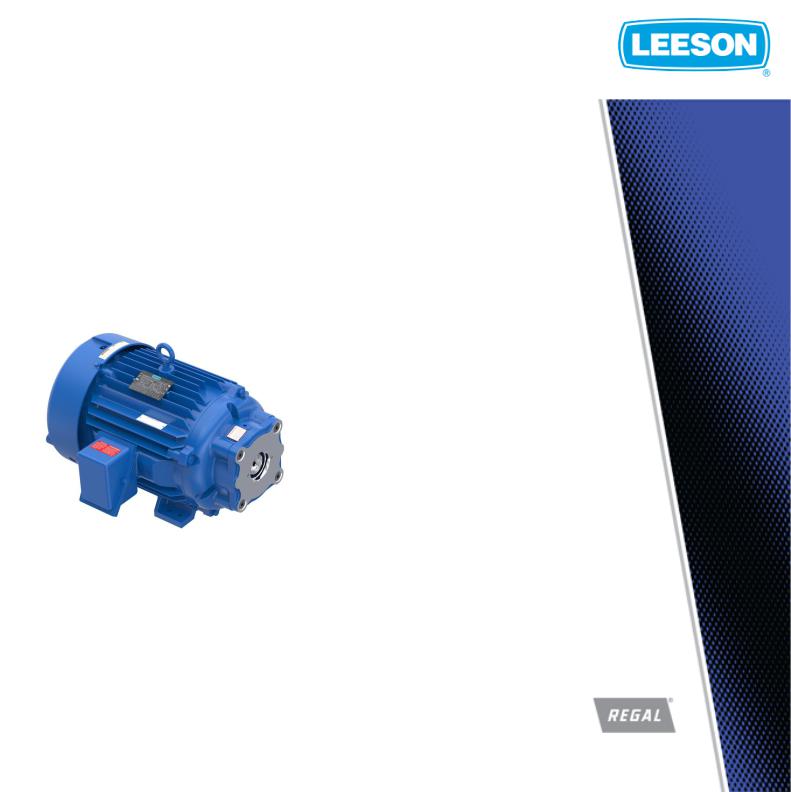 Leeson 850794.00 Product Information Packet