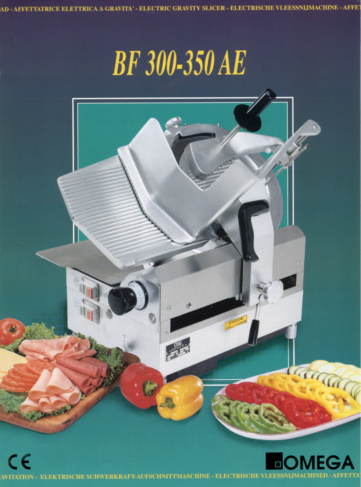 Omega Products BF 300 AE User Manual