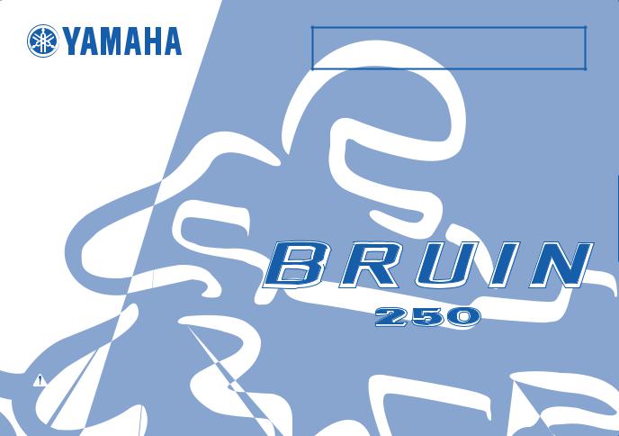 Yamaha YFM250BT Manual