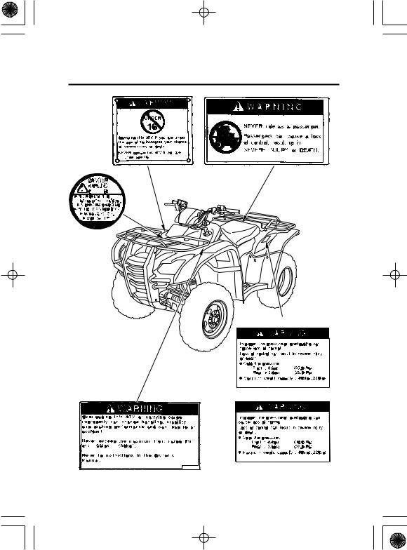 Honda TRX420TE, TRX420FE, TRX420FPE 2010 Owner's Manual
