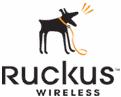 Ruckus Wireless VX211X User Manual