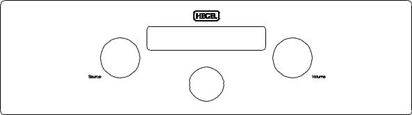 HEGEL H200 User Manual