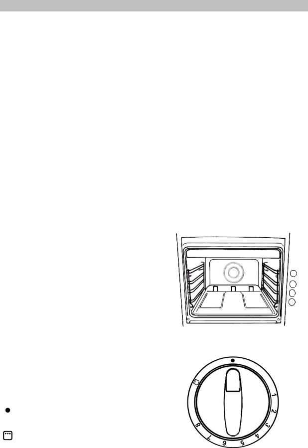 Zanussi ZCG531X User Manual