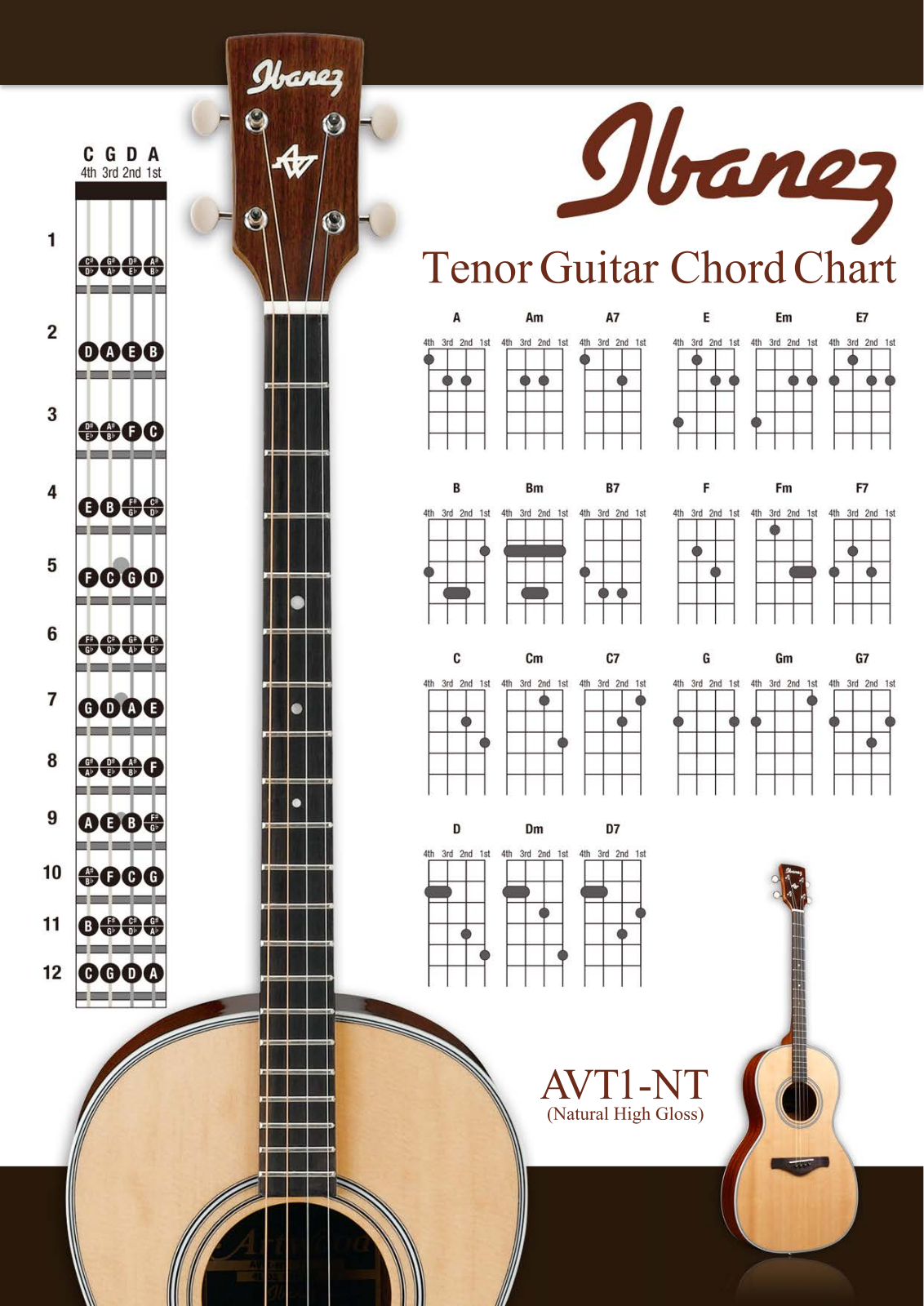 Ibanez AVT1NT Users Manual