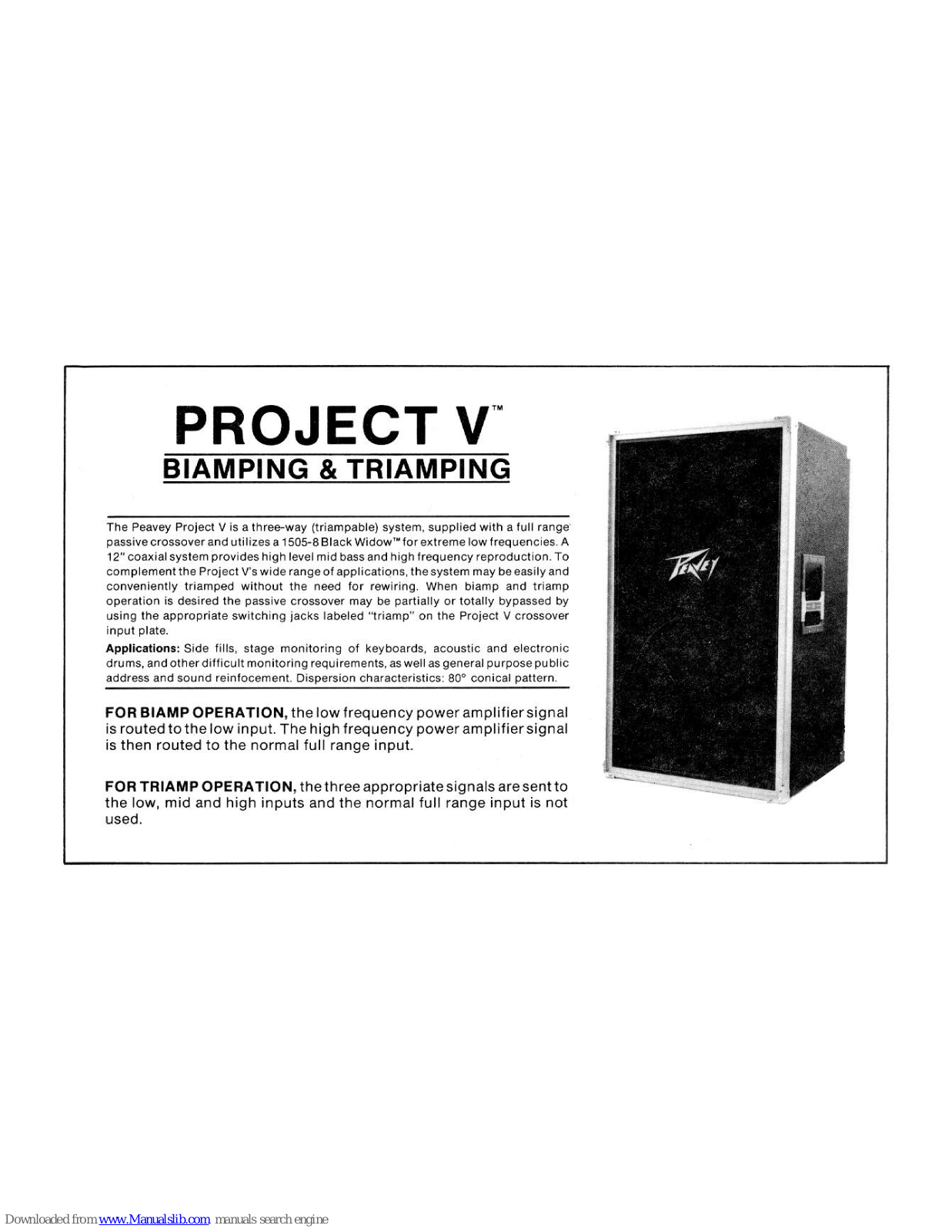 Peavey Project V User Manual