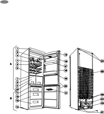 Zanussi ZRB634NWD, ZRB634NXD User Manual