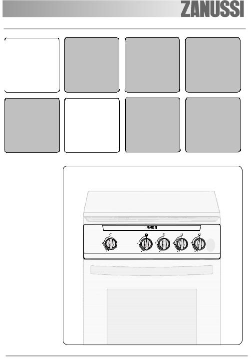 Zanussi ZCG55EGW1 User Manual