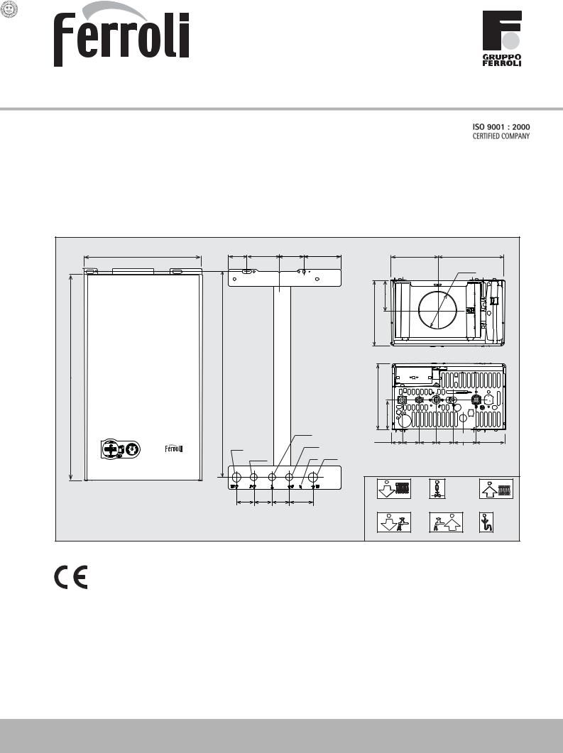 Ferroli Domiproject C 24 D User Manual