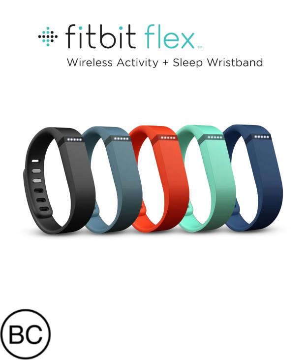 Fitbit FB401 User Manual